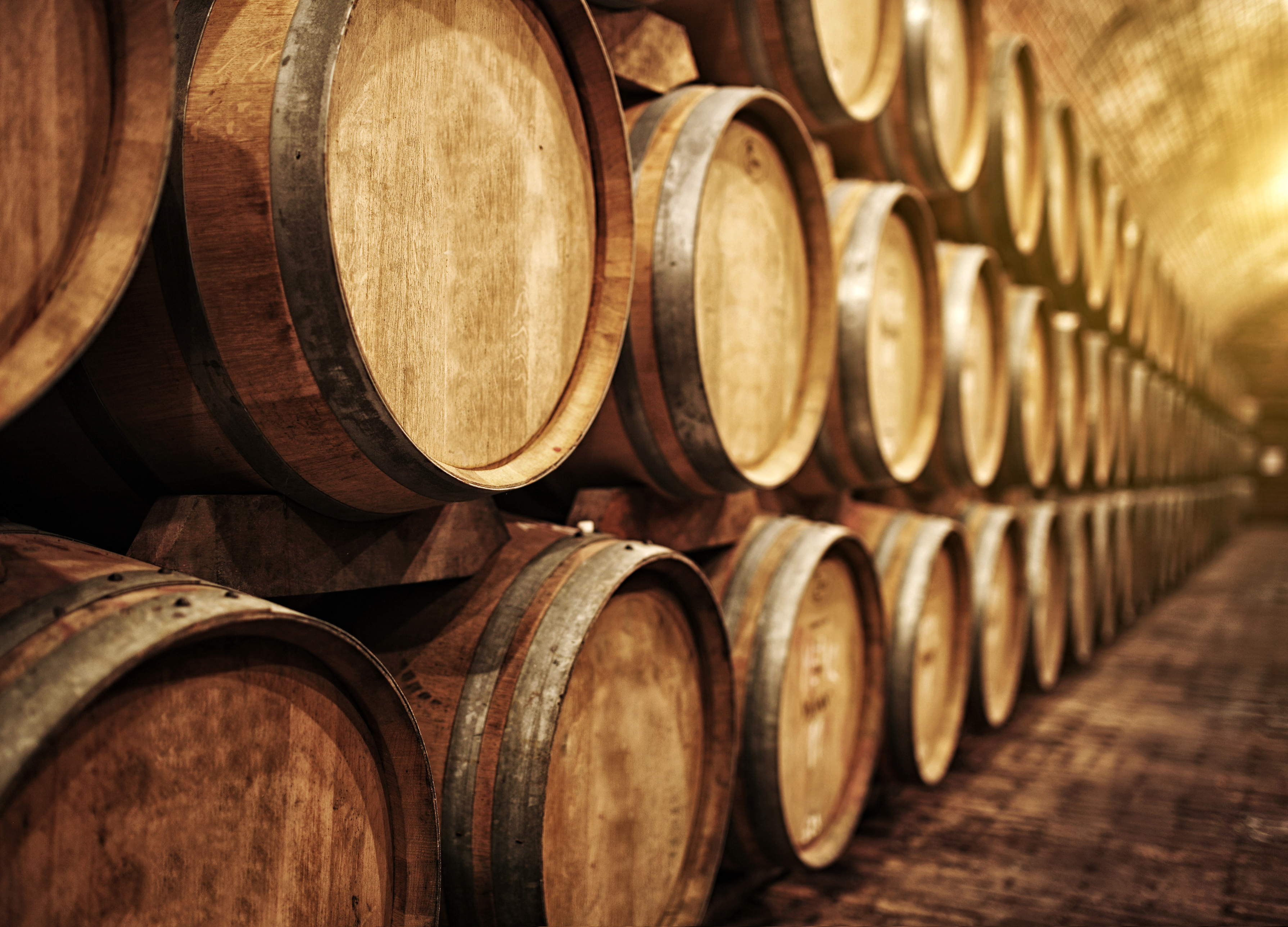 Wine,Barrels,In,Wine-vaults,In,Order