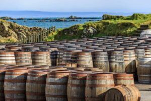 Premium Scotch whisky spirit barrels lined up outdoors, aging under the open sky.