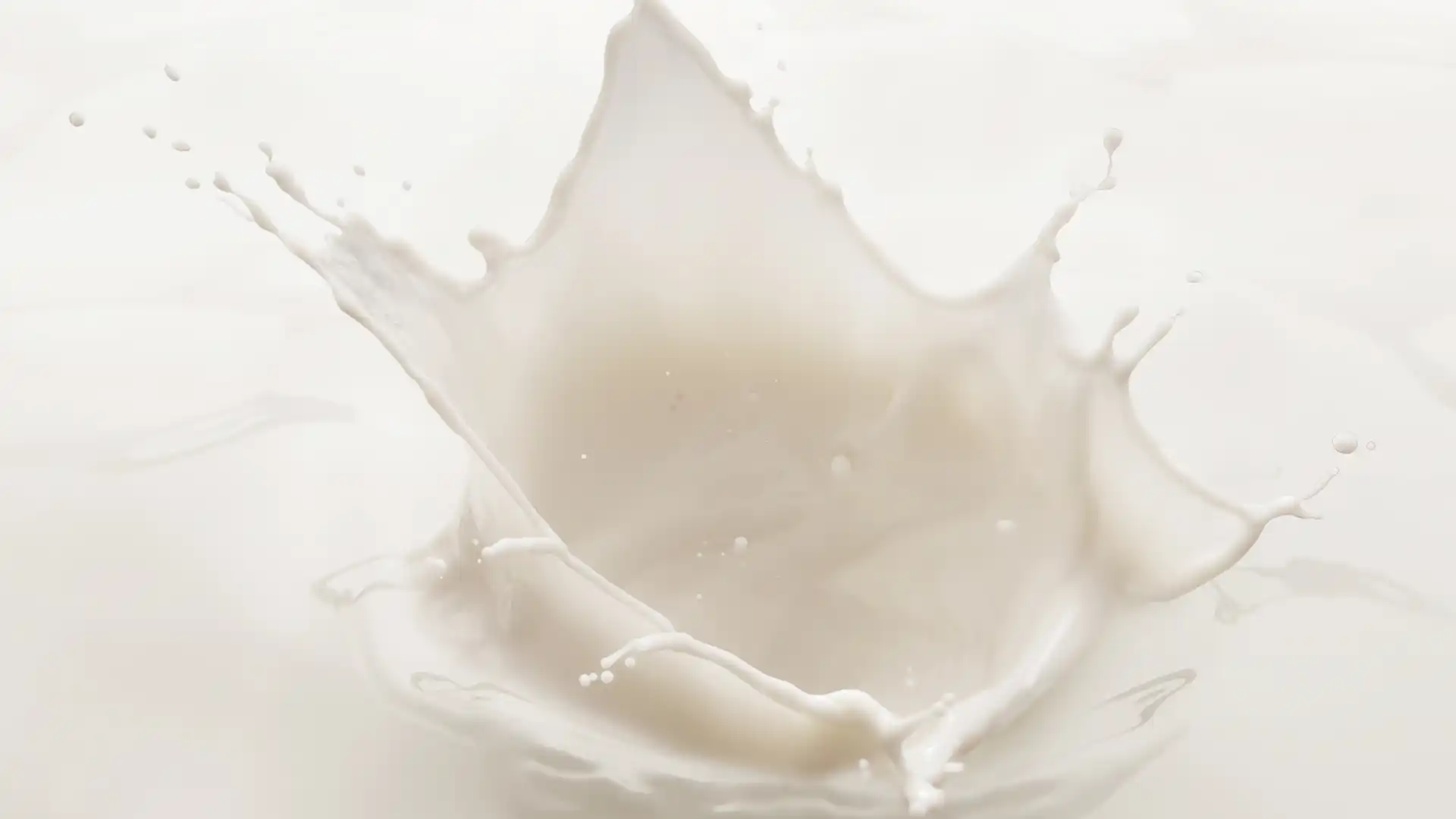 A splash of milk forms a crown-like shape against a white background, capturing motion and fluidity. The image conveys freshness and purity.
