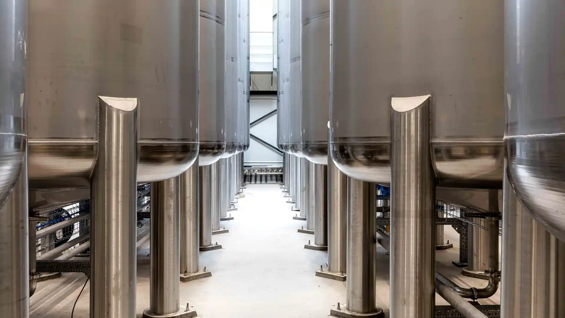 Interior of an industrial building with large stainless steel fermentation tanks lined up symmetrically. The space is clean and industrial, conveying precision and efficiency.
