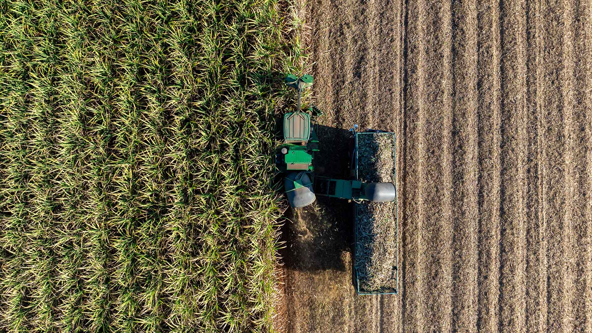 Aerial view of a green tractor harvesting a sugarcane field, with lush green crops on the left and neatly tilled brown soil on the right, conveying agriculture and productivity.