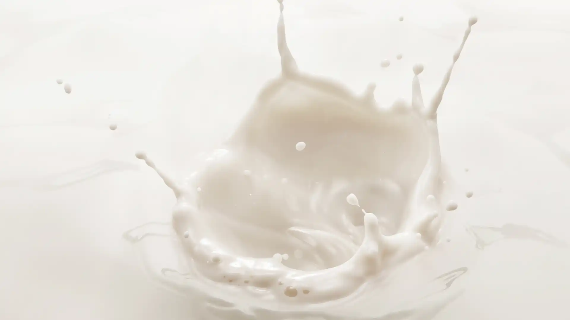 Splashing milk creates a dynamic crown-like pattern in mid-air against a plain white background, conveying motion and freshness.