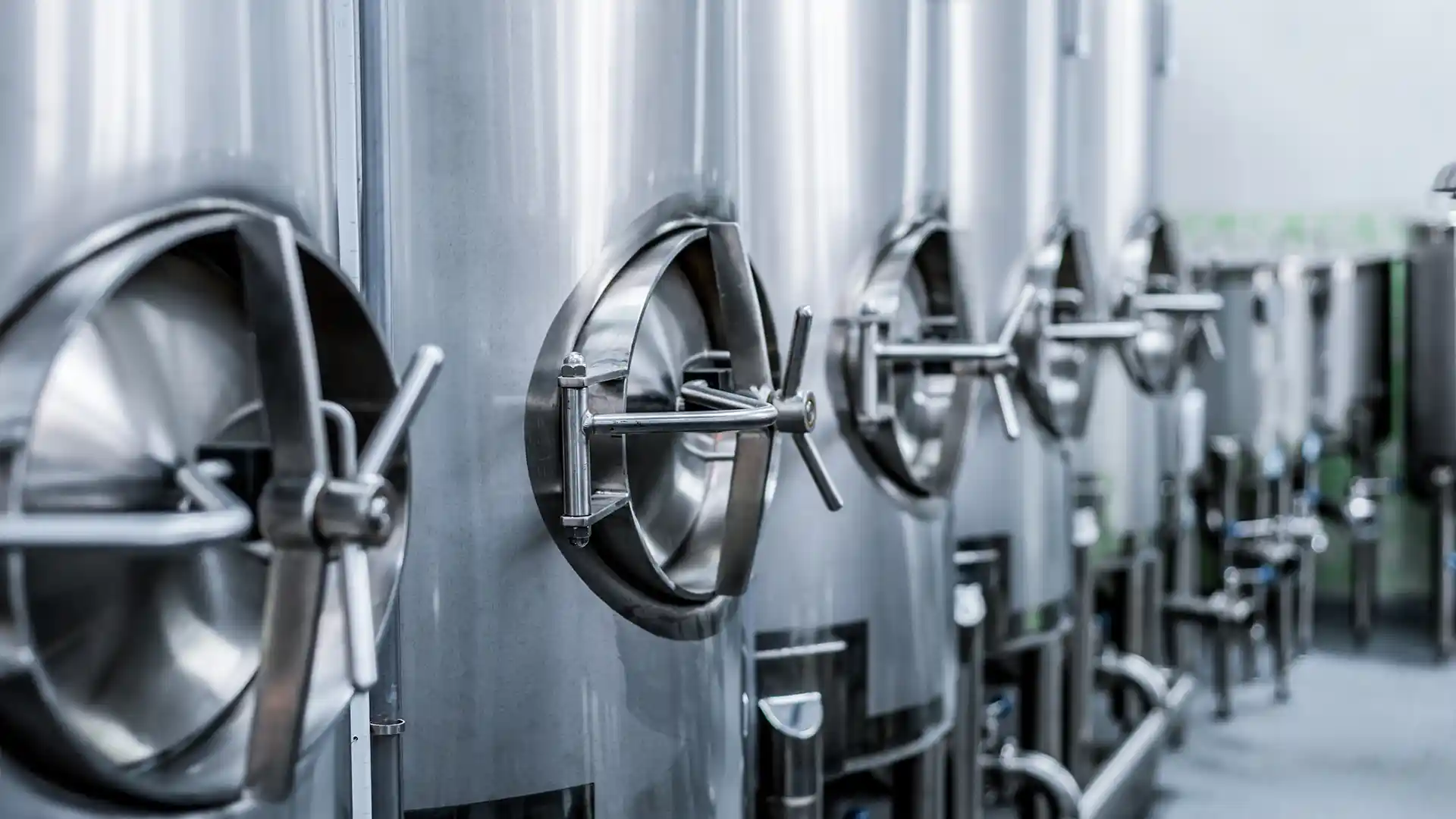 Row of shiny, stainless steel fermentation tanks in a brewery. The industrial setting is clean and orderly, conveying precision and efficiency.