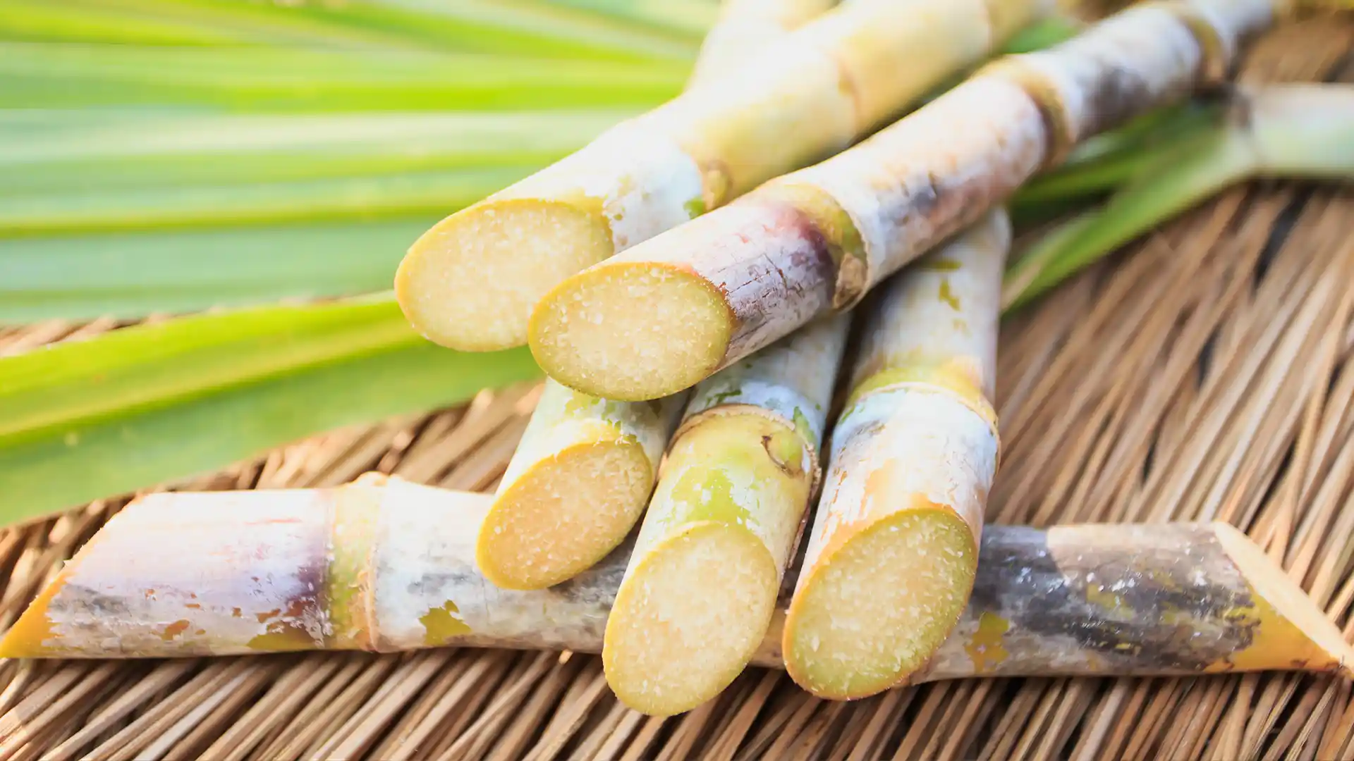 Close-up of cut sugarcane stalks stacked on a woven mat, with green leaves in the background. The scene conveys a fresh, natural, and rustic tone.