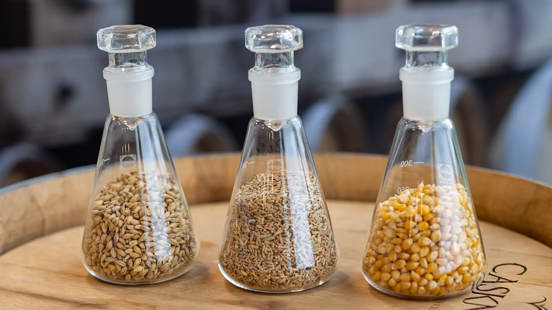 Three glass flasks on a wooden surface hold different grains: barley, rye, and corn. The background is blurred, adding focus to the grains.
